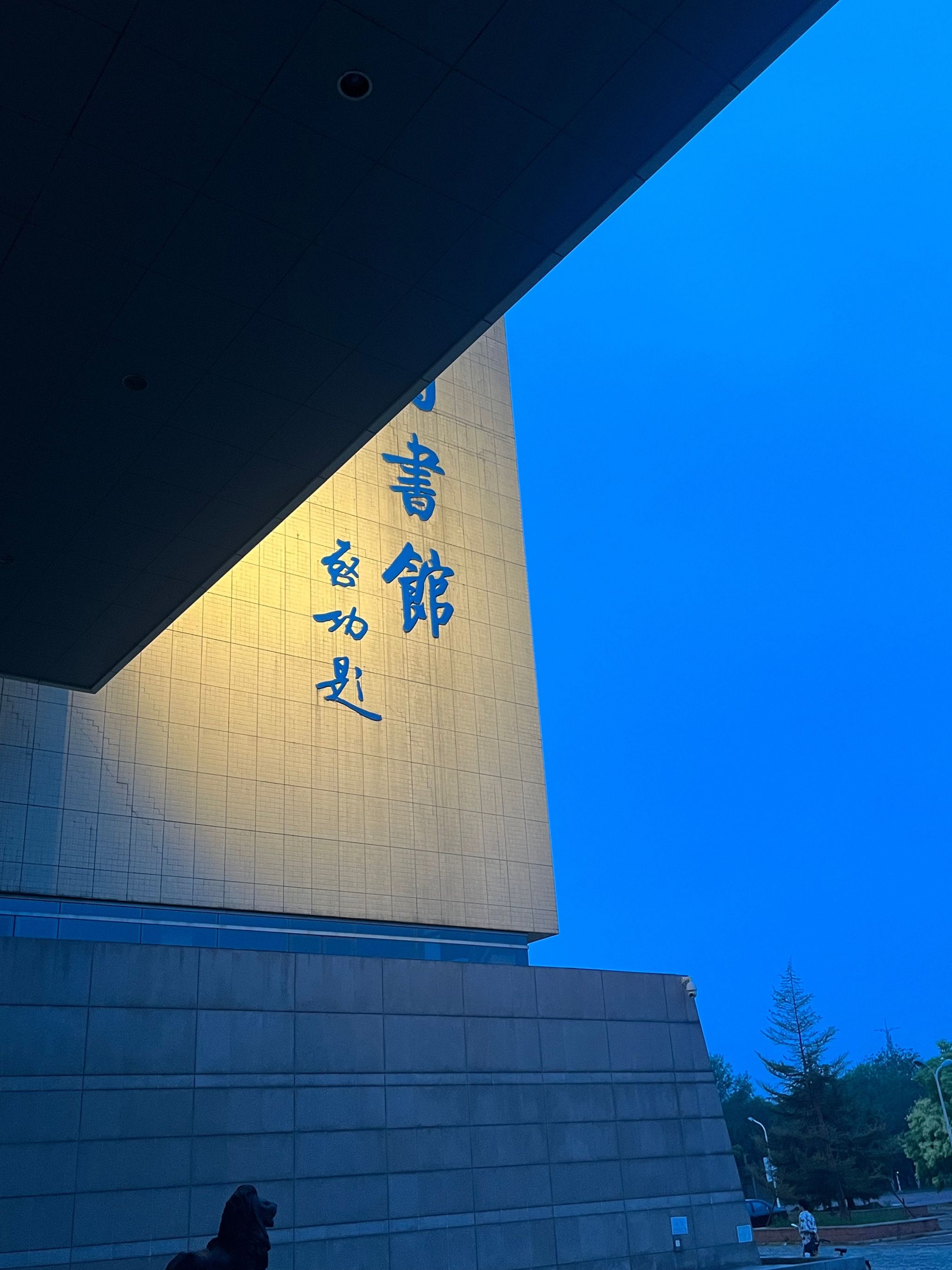 滚球网站
