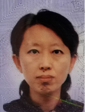 滚球网站