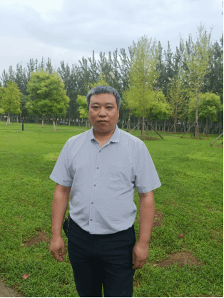 滚球网站